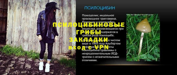 бошки Балахна